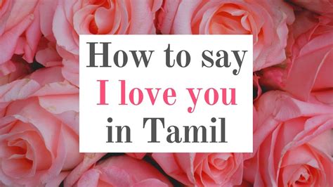 love you lot meaning in tamil|i love you lyrics in tamil.